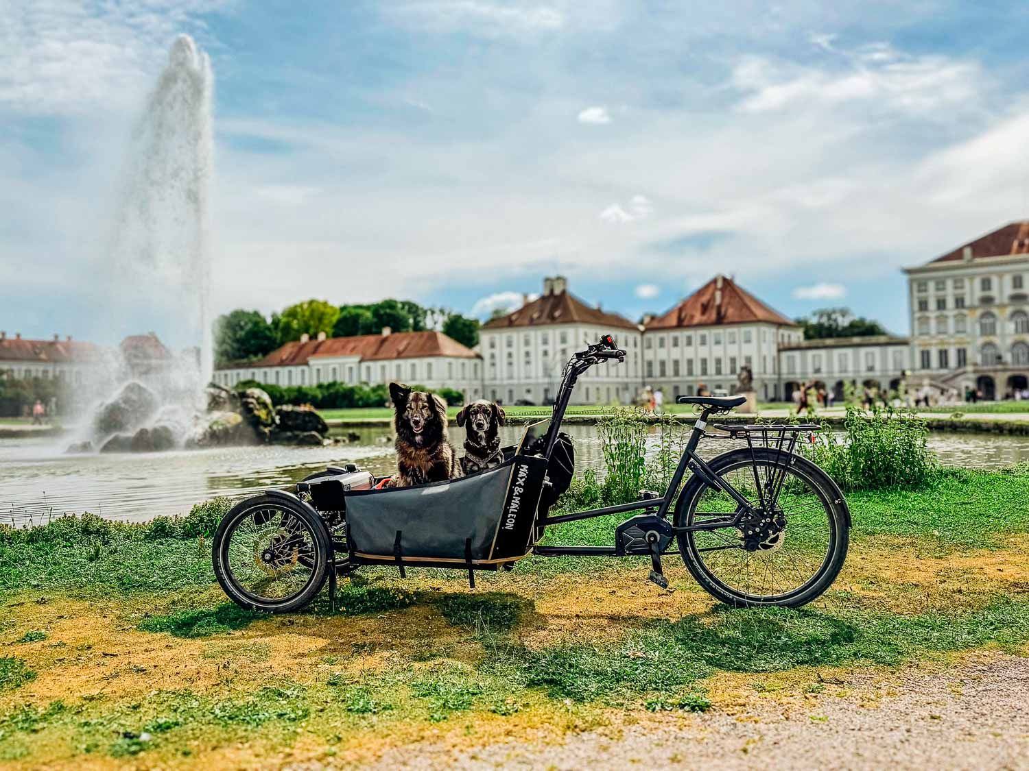 Zwei Hunde im Lastenrad vor Schloss Nymphenburg