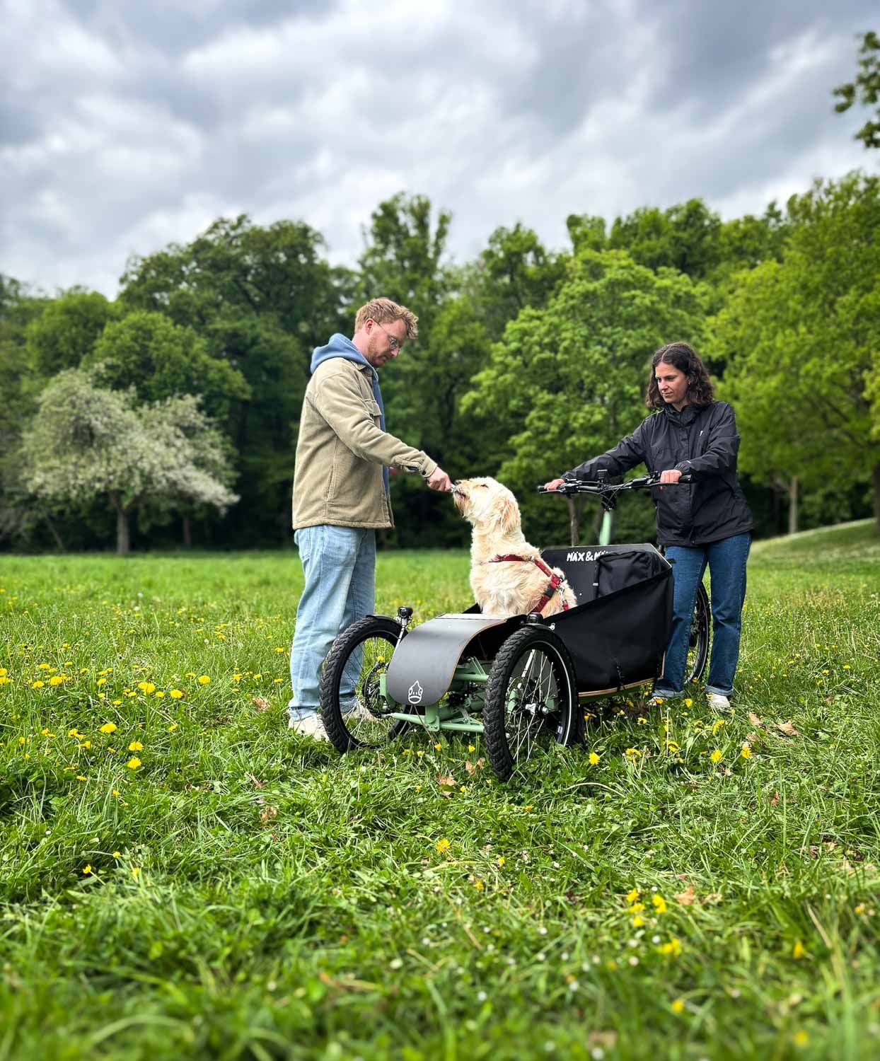 Hund sitzt in der Box eines Transporter Bikes auf einer Wiese und bekommt ein Leckerli